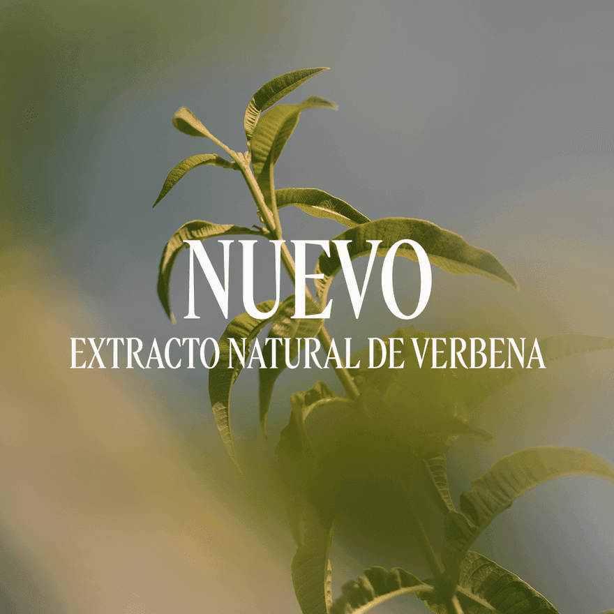 Gel de Ducha Verbena Normal BLOC40603