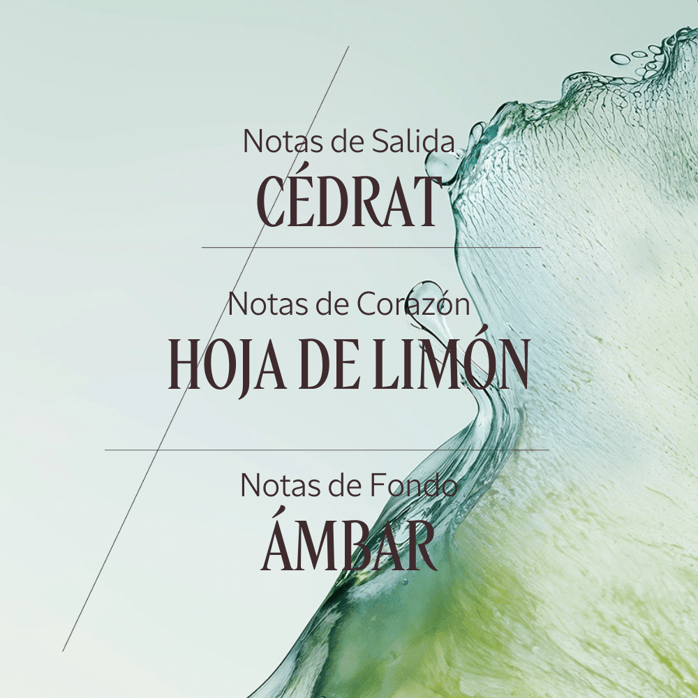 Cédrat gel crema after-shave Normal BLOC40411