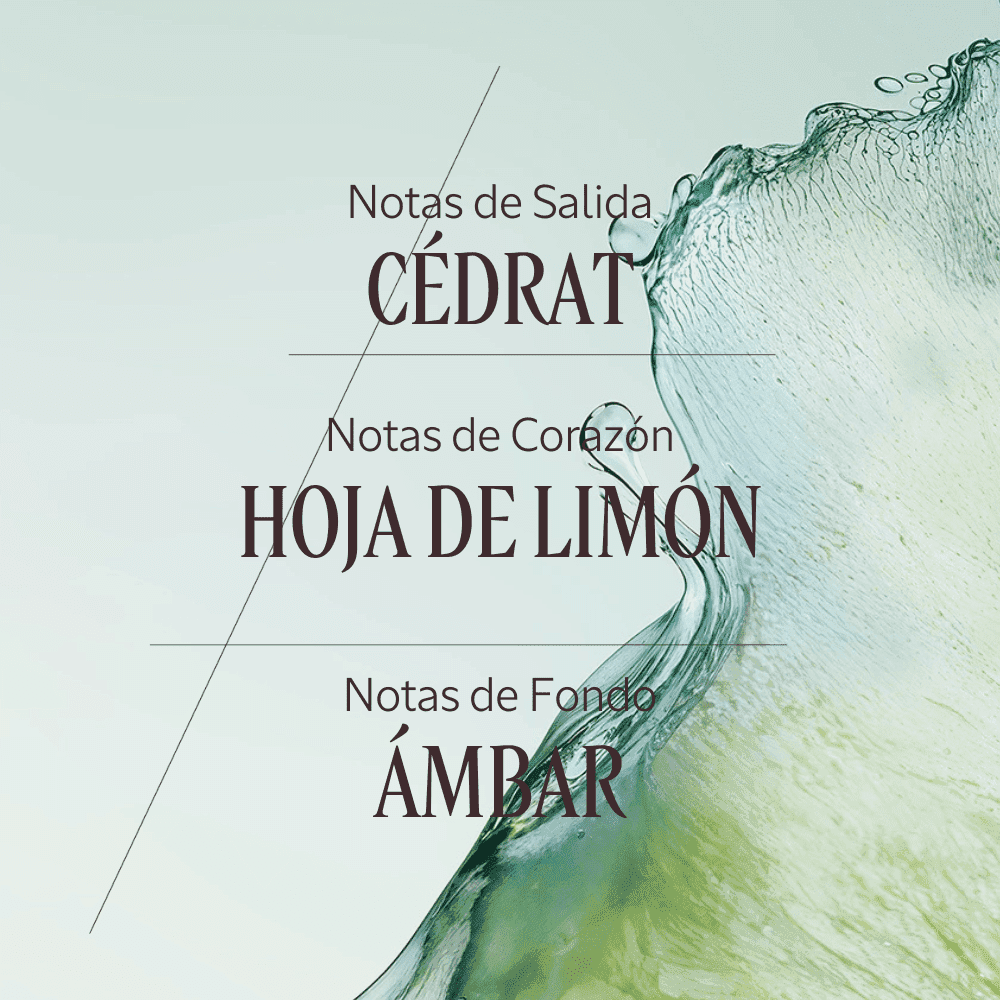 Cédrat gel crema after-shave Normal BLOC40411