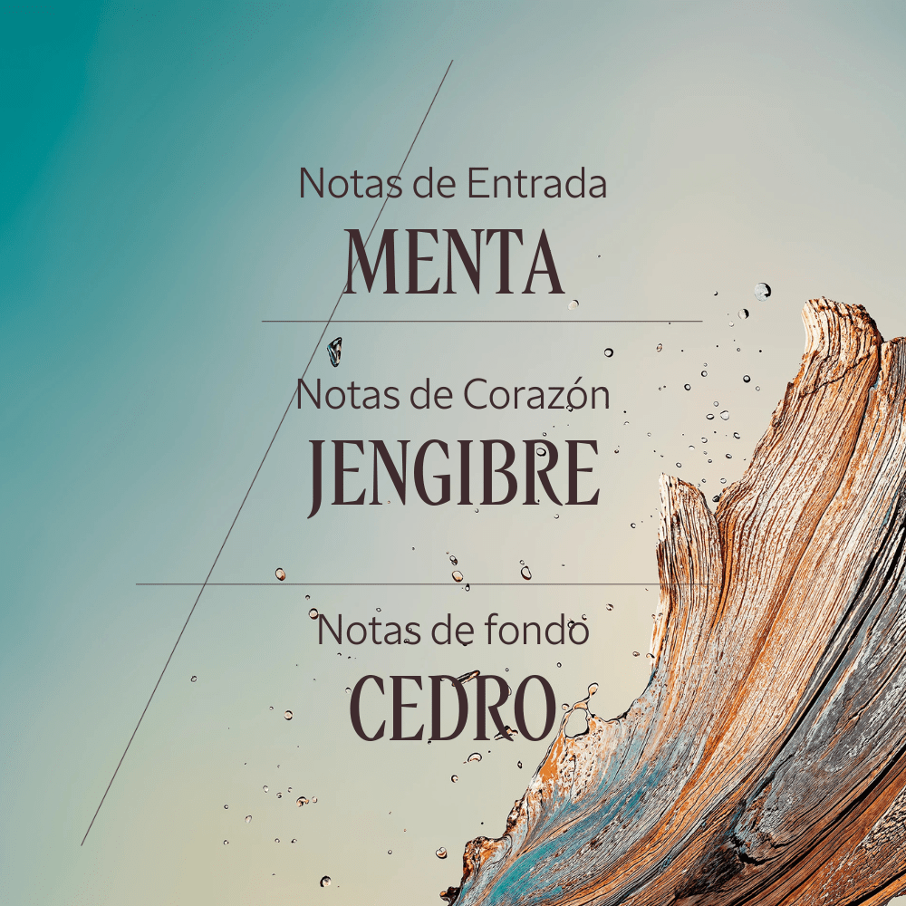 Cèdre Gingembre eau de toilette Normal BLOC40416