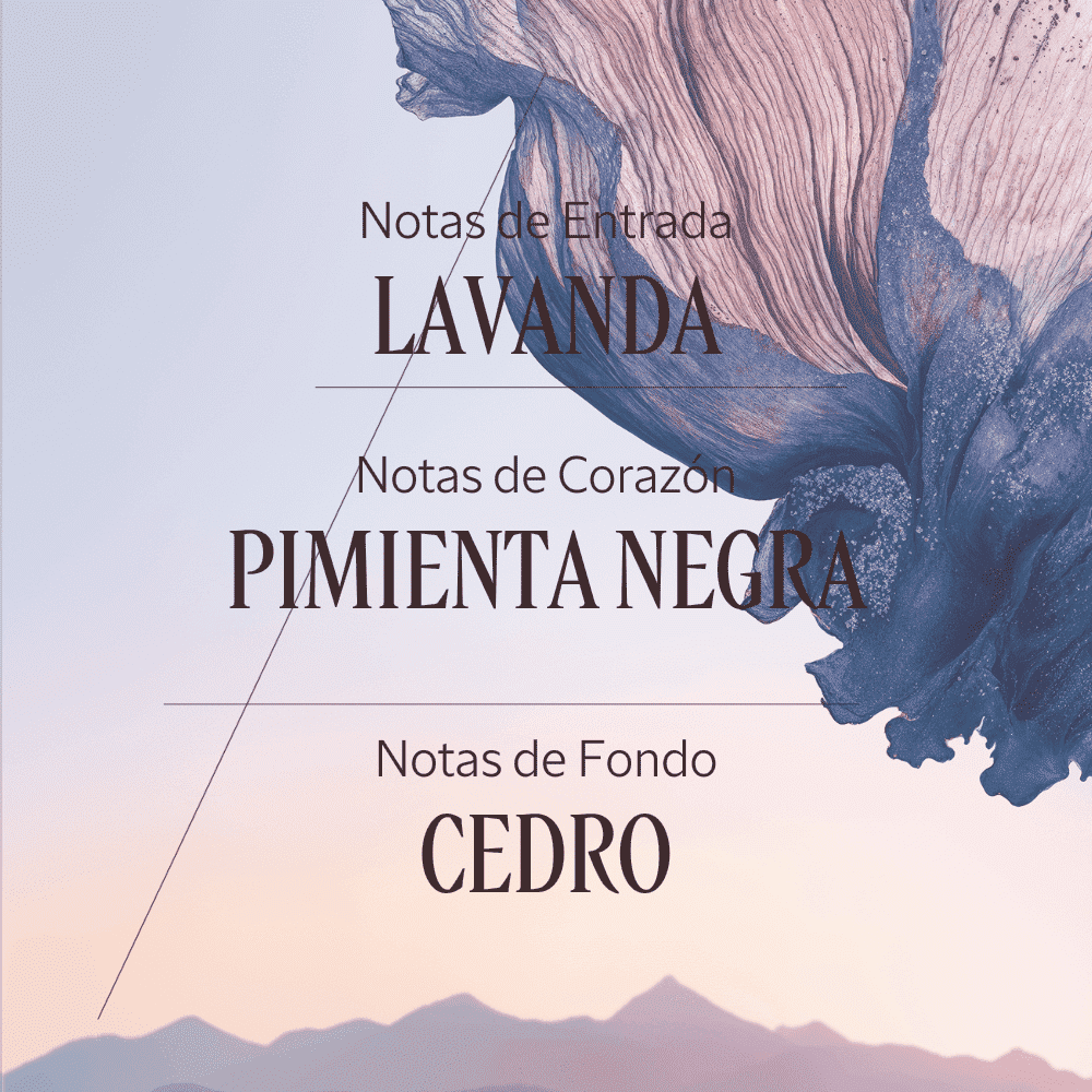 Lavande Poivre Noir gel de ducha Normal BLOC40420