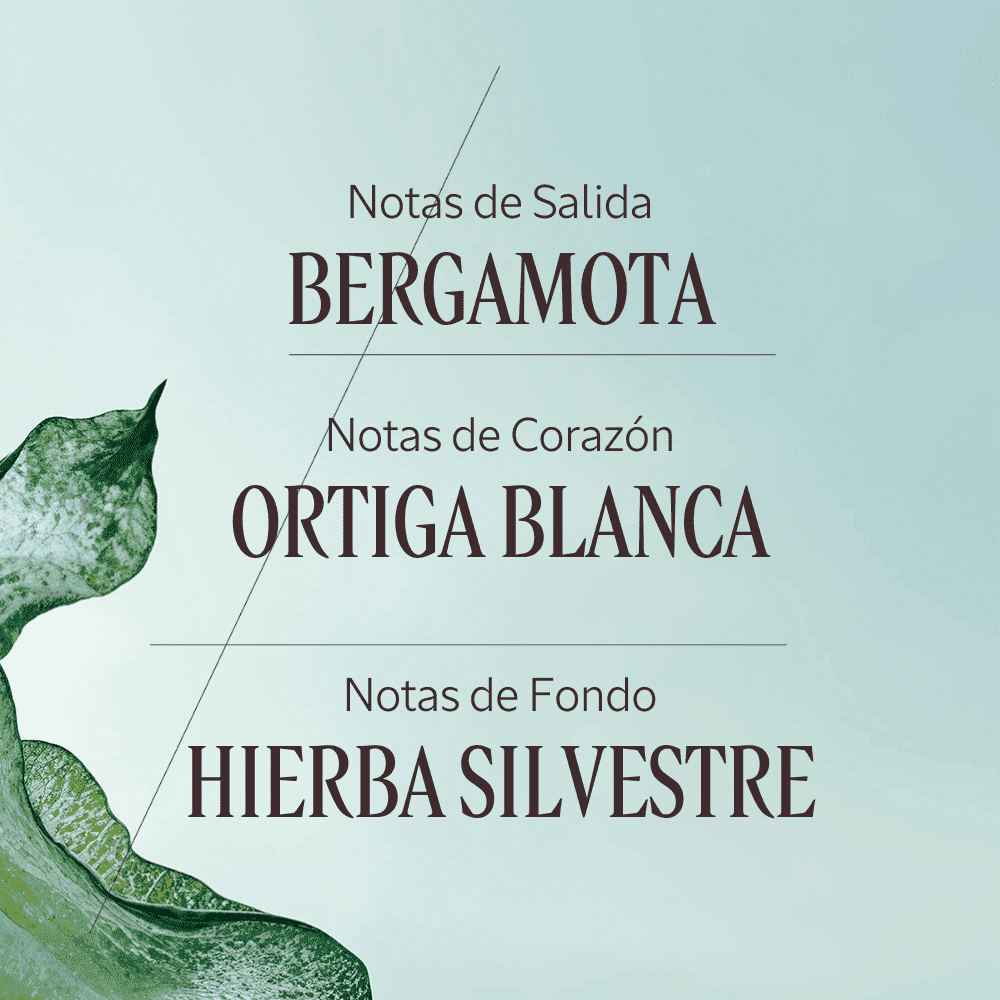 Ortie Blanche gel de ducha Normal BLOC40354