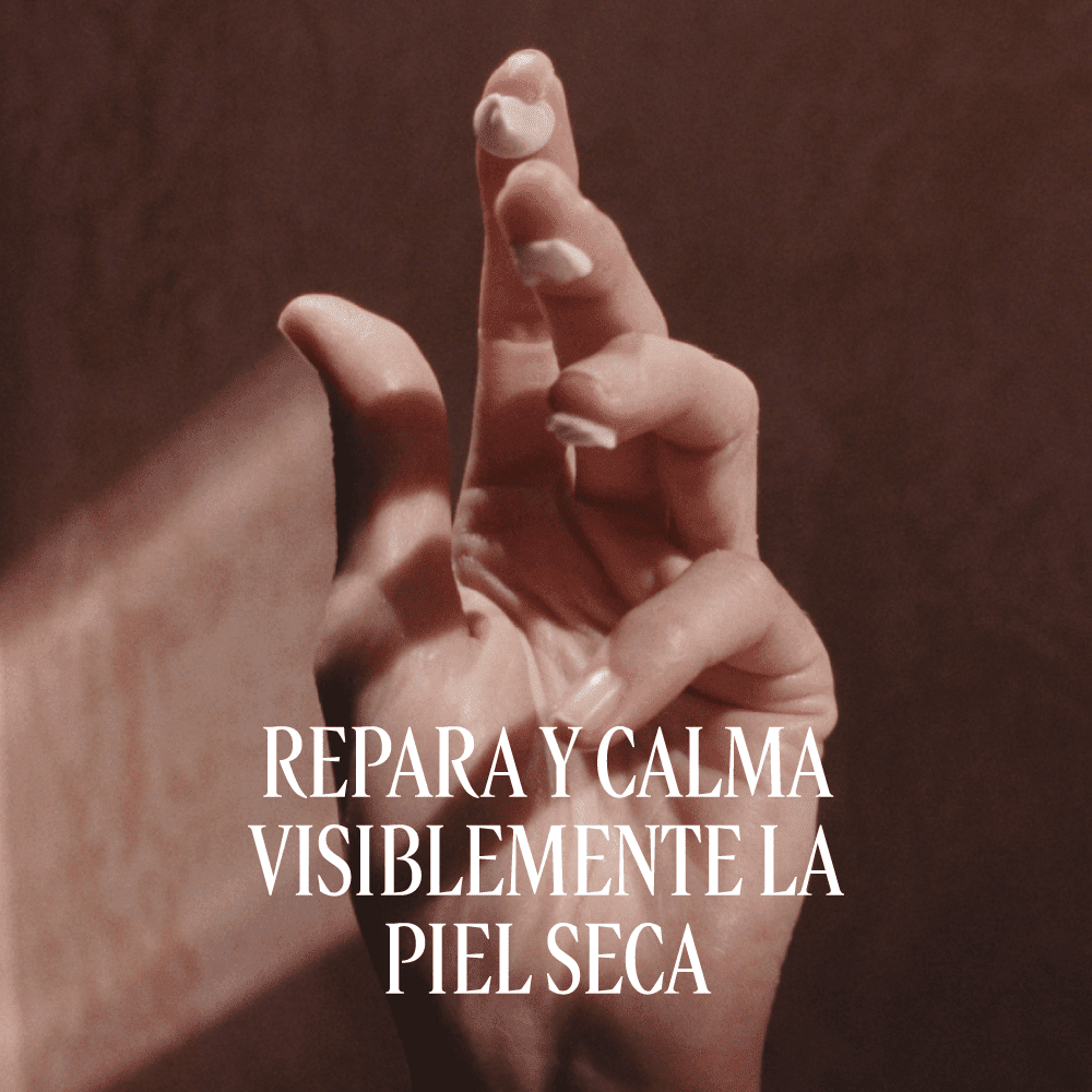 Bálsamo de Manos Intenso Karité Normal BLOC40519