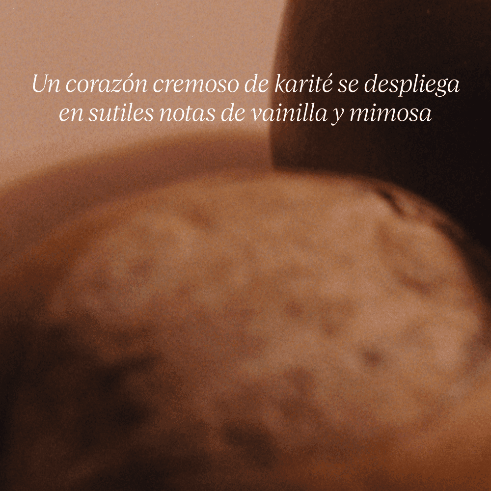 Recarga Espuma Manos y Cuerpo Ultra Rica Karité Refill BLOC40520