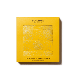 Kit Crackers Holiday Normal BLOC40478 