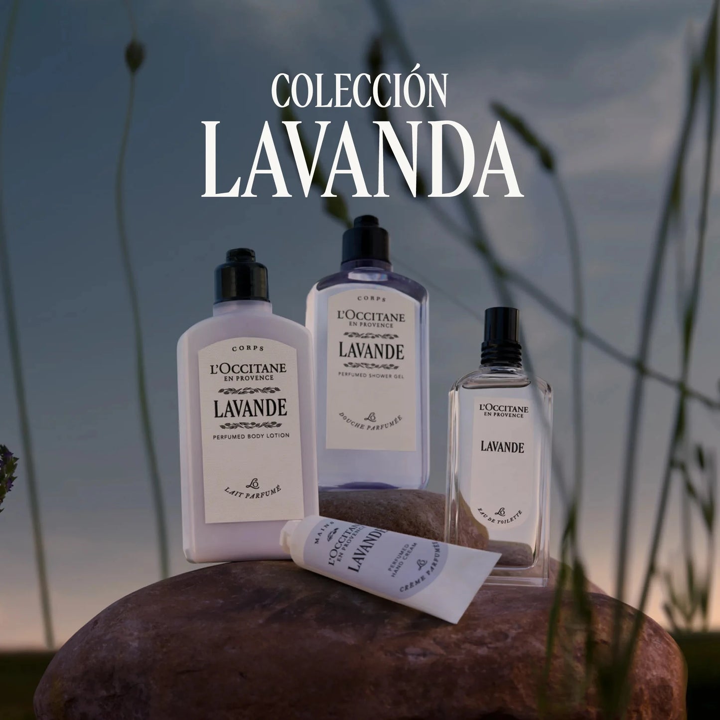 Crema de Manos Lavande Normal BLOC40655 