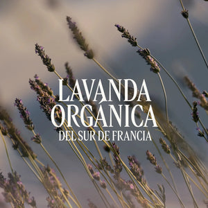 Leche Corporal Lavande Normal BLOC40652 