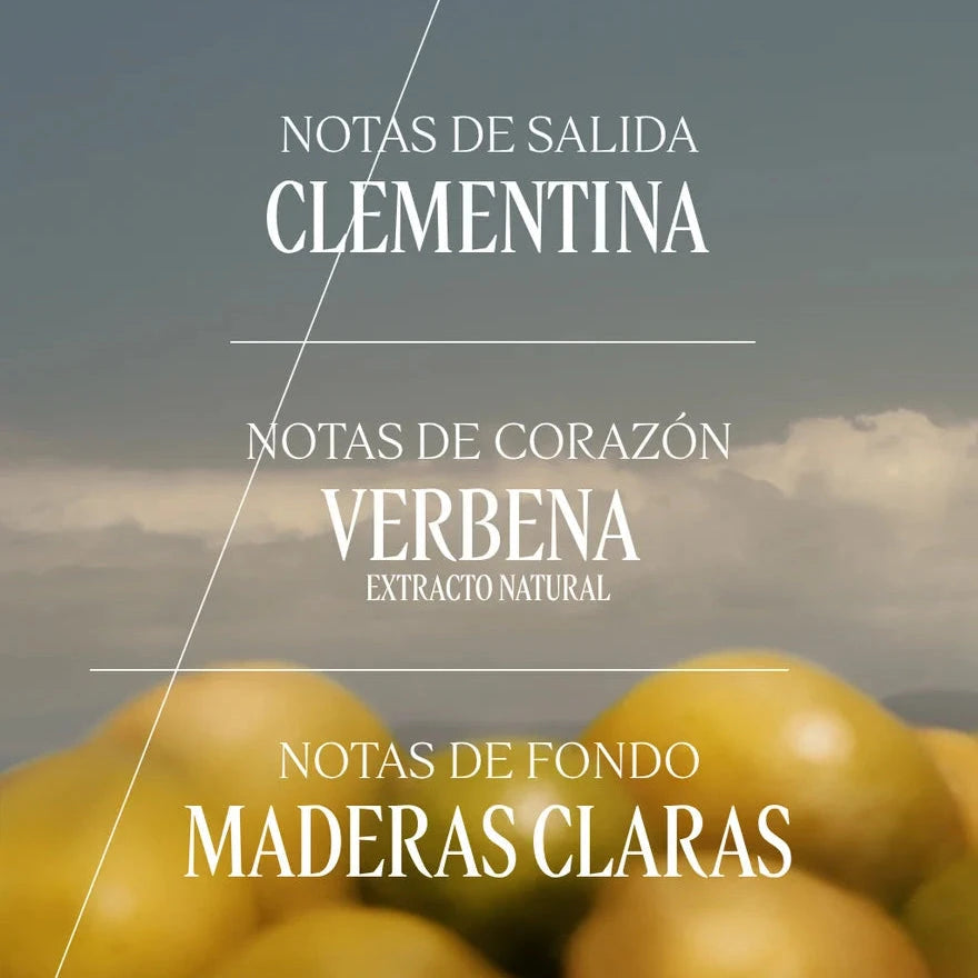 Eau de toilette Citrus Verbena Normal BLOC40597 