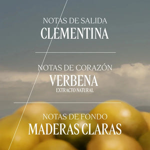 Eau de toilette Citrus Verbena Normal BLOC40597 