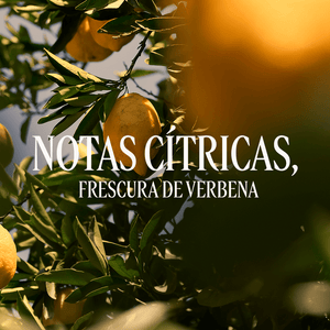 Gel de Ducha Citrus Verbena Normal BLOC40601 