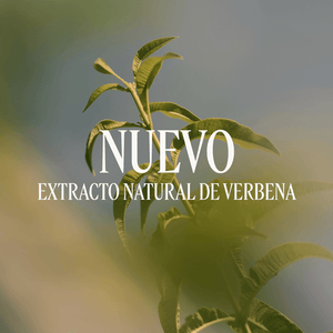 Gel de Ducha Verbena Normal BLOC40603 