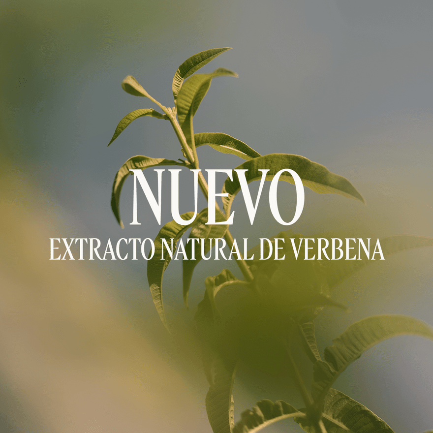 Gel de Ducha Verbena Normal BLOC40603 
