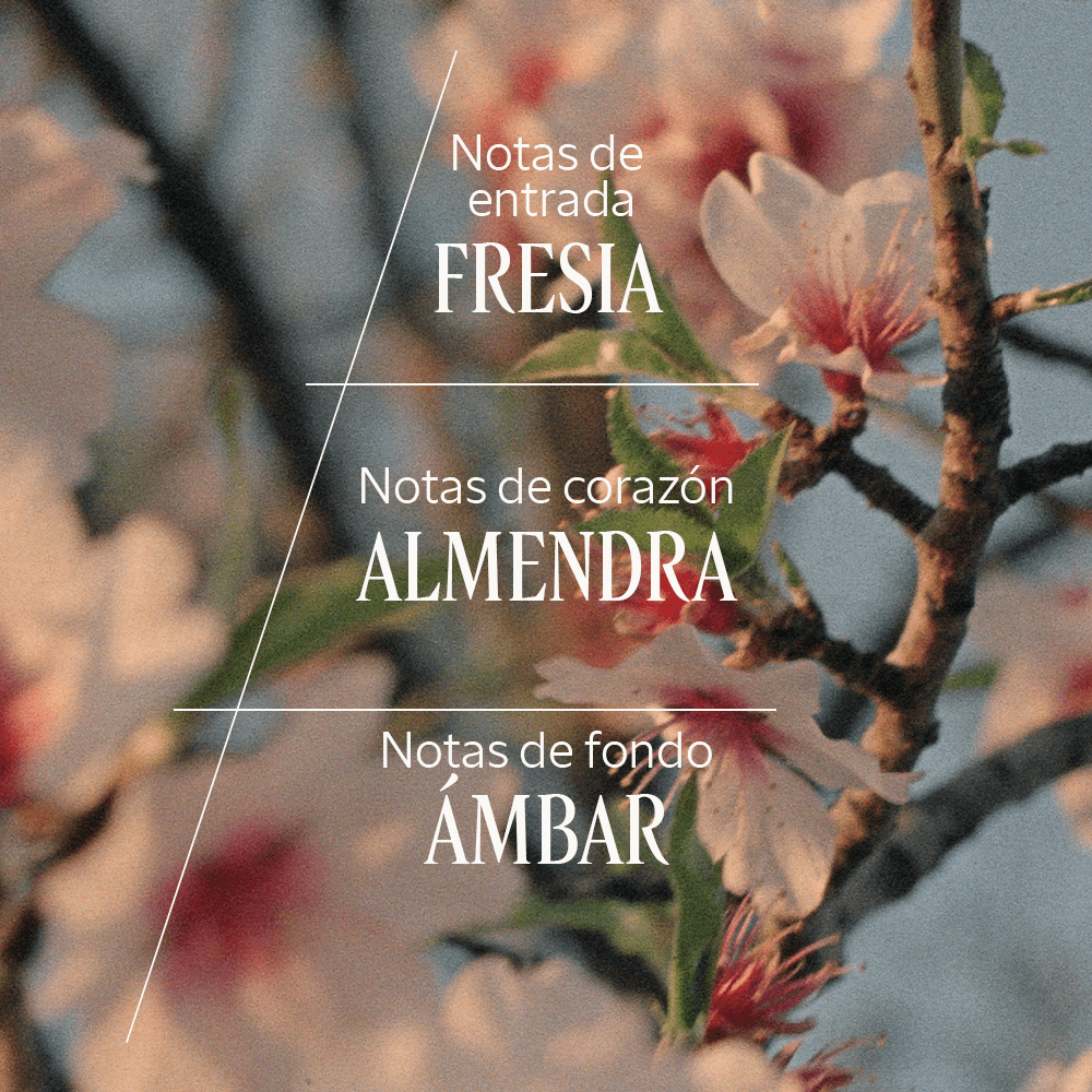 Bruma Perfumada Almendra Normal BLOC40571 