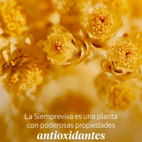 Crema de Rostro Immortelle Preciosa Normal BLOC03023 