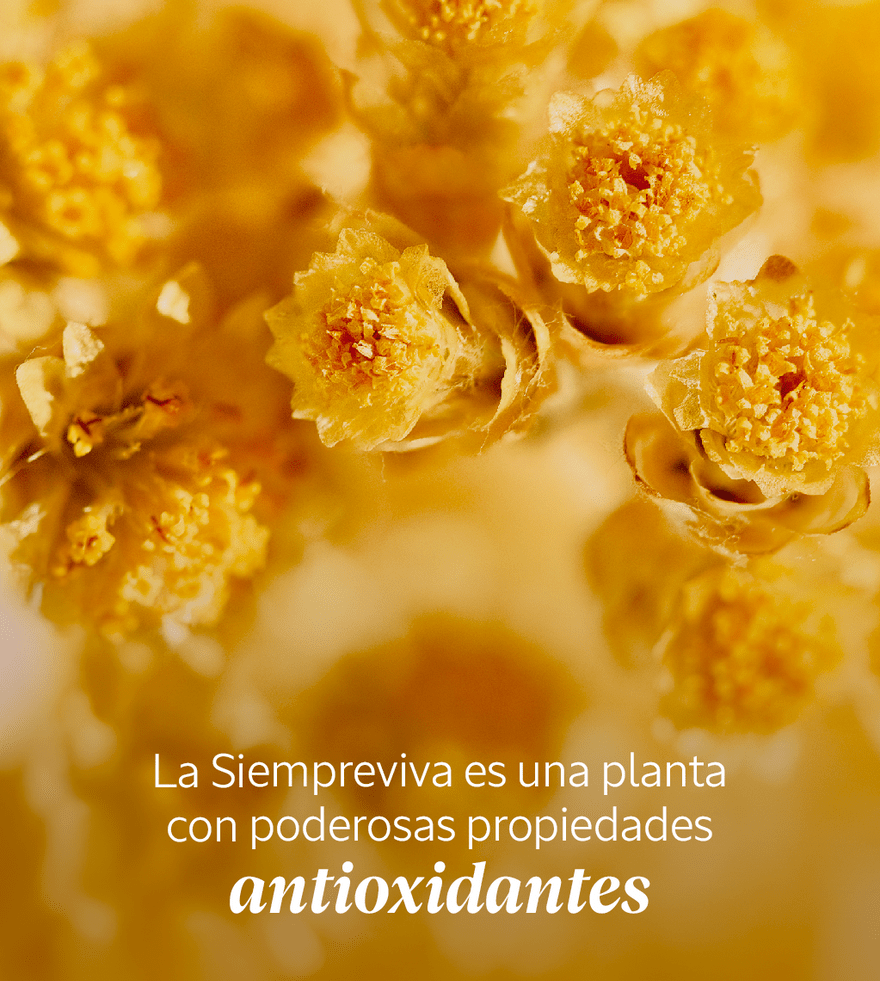 Crema de Rostro Immortelle Preciosa Normal BLOC03023 