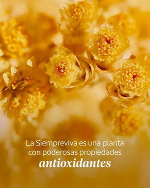 Emulsión Enriquecida Immortelle Preciosa Normal BLOC03027 