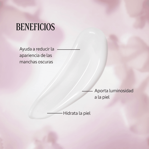 Crema Inmaculada Reina Blanca Normal BLOC02941 