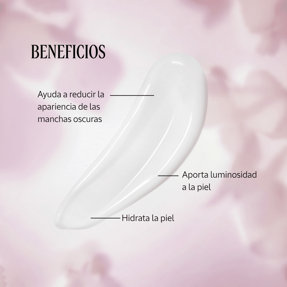 Crema Inmaculada Reina Blanca Normal BLOC02941 