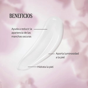 Crema Inmaculada Reina Blanca Normal BLOC02941 