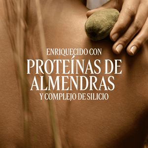 Concentrado de Leche Almendra Normal BLOC40559 