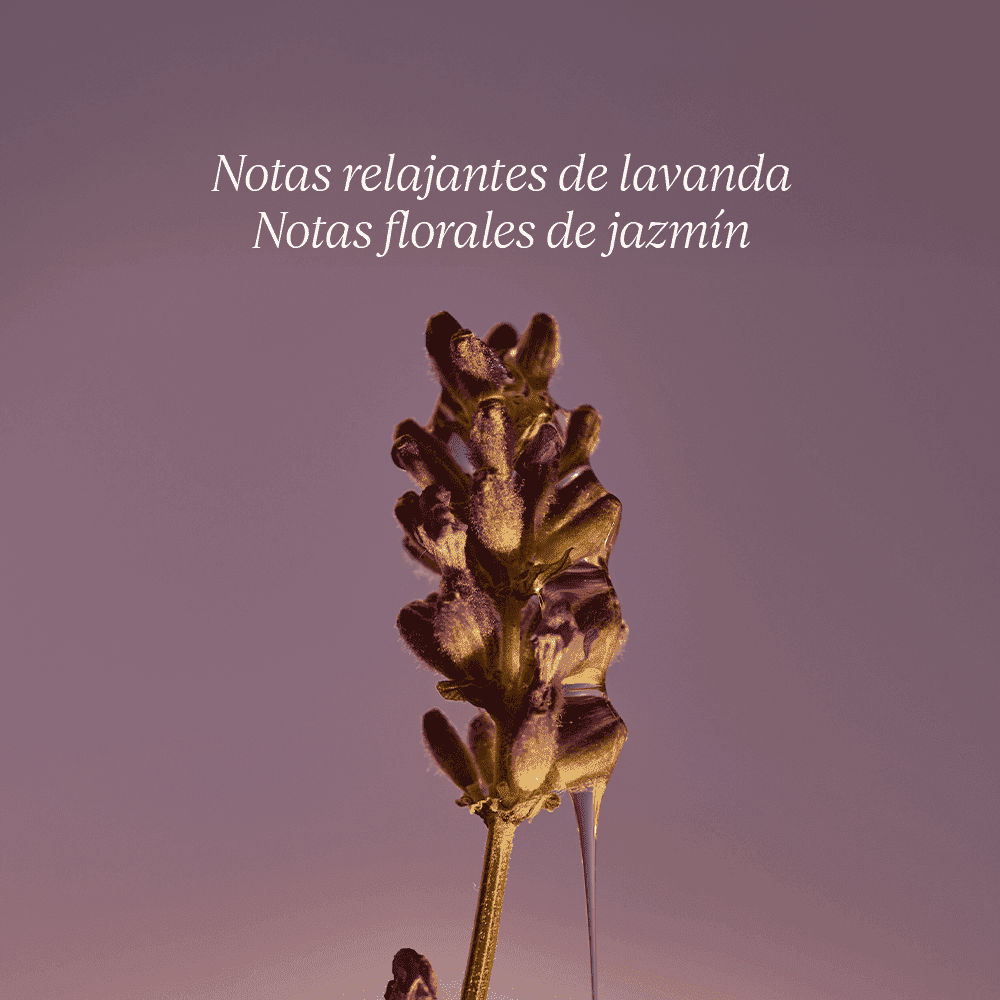 Jabón Líquido de Manos y Cuerpo Lavanda Normal BLOC40515 