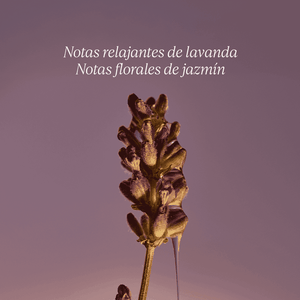 Jabón Líquido de Manos y Cuerpo Lavanda Normal BLOC40515 