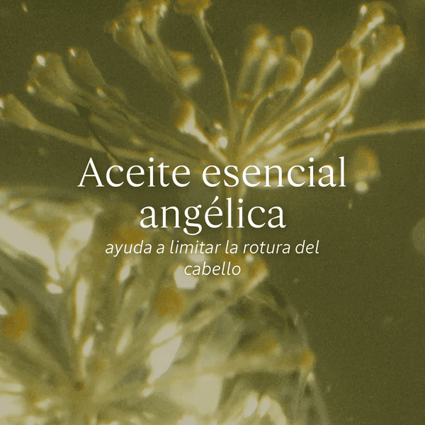 Aceite Infusionado Enriquecido Reparación Intensa Aromacología - L'Occitane Panama