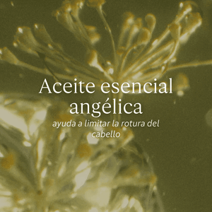 Aceite Infusionado Enriquecido Reparación Intensa Aromacología - L'Occitane Panama