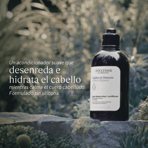 Acondicionador Equilibrio y Suavidad Aromacología 75ml Normal BLOC03570 