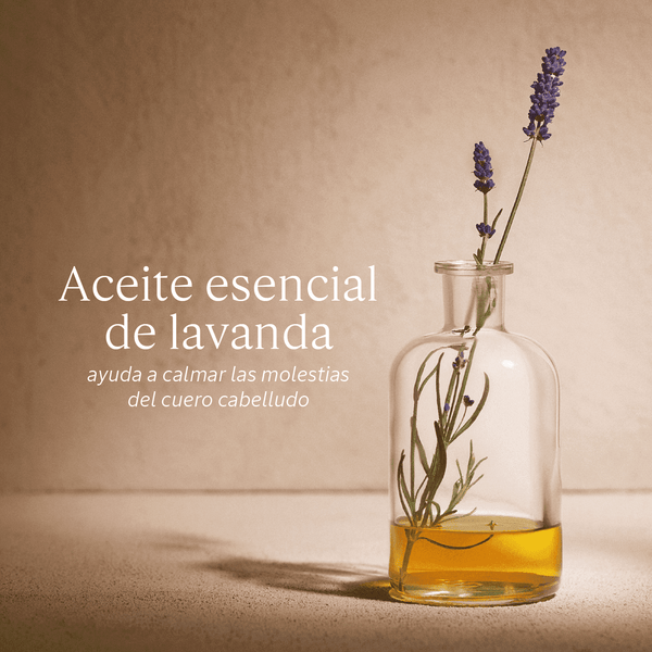 Acondicionador Equilibrio & Suavidad Aromacología 500ml Normal BLOC03567 