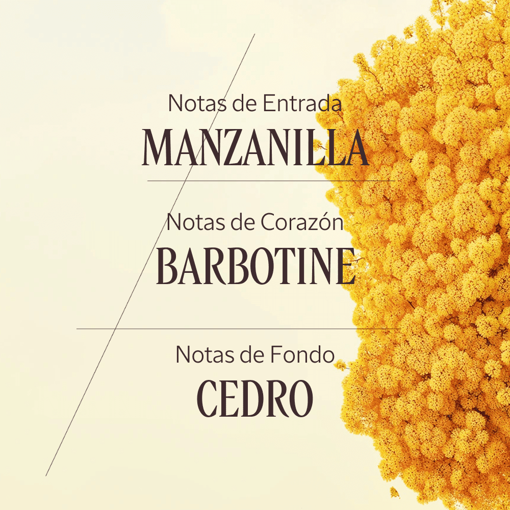 Barbotine perfumed gel de ducha Normal L'Occitane 