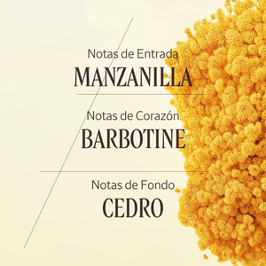 Barbotine perfumed gel de ducha Normal L'Occitane 