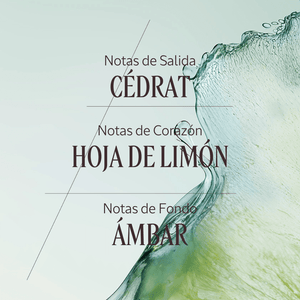 Cédrat gel crema after-shave Normal BLOC40411 