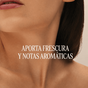 Terre de Lumière eau de parfum Normal BLOC40375 
