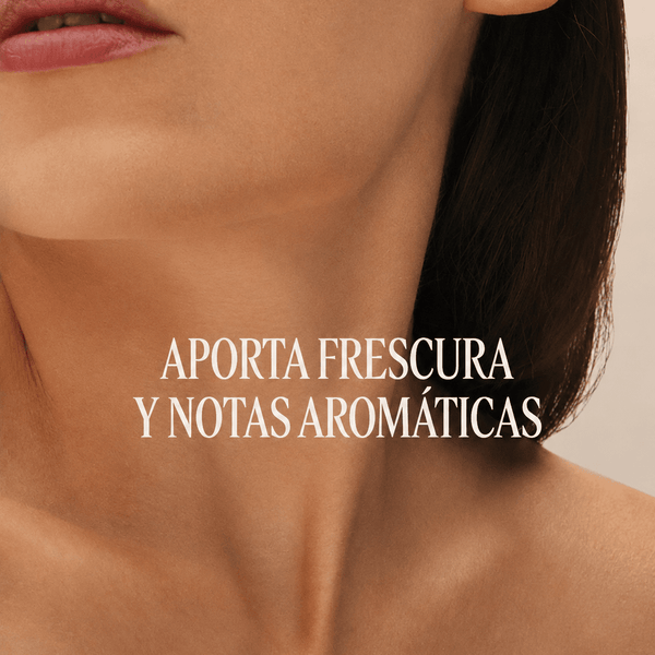 Terre de Lumière eau de parfum Normal BLOC40375 