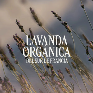 Eau de Toilette Lavande Normal BLOC40649 