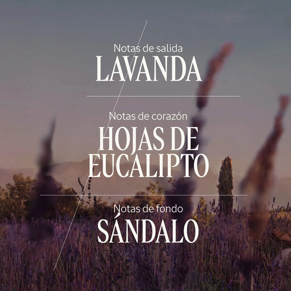 Eau de Toilette Lavande Normal BLOC40649 