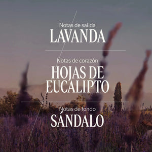 Eau de Toilette Lavande Normal BLOC40649 