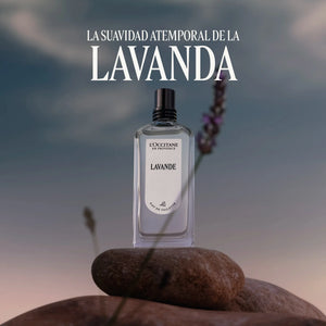 Eau de Toilette Lavande Normal BLOC40649 