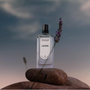 Eau de Toilette Lavande Normal BLOC40649 