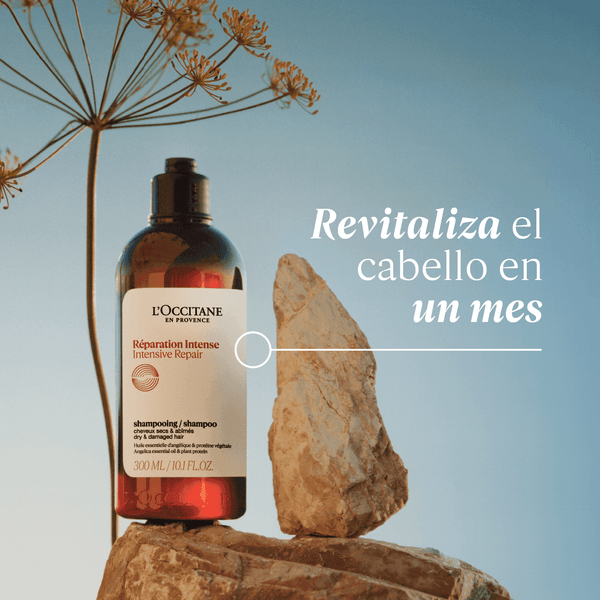 Champú Reparador Intensivo 75ml - L'Occitane Panama