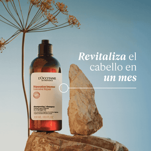 Champú Reparador Intensivo 75ml - L'Occitane Panama