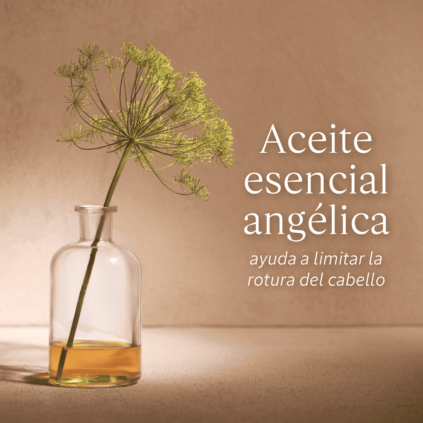 Champú Reparador Intensivo 75ml - L'Occitane Panama