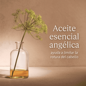 Champú Reparador Intensivo 75ml - L'Occitane Panama