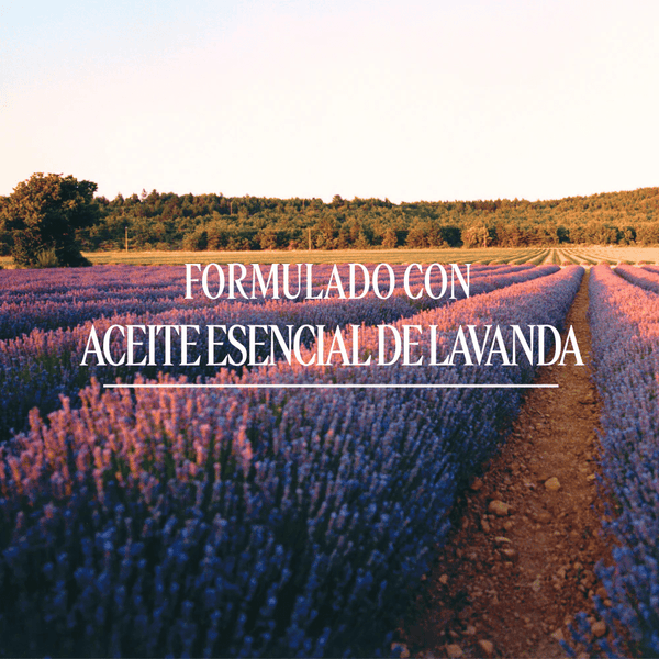 Jabón Extra Suave Karité Lavanda Normal BLOC40549 