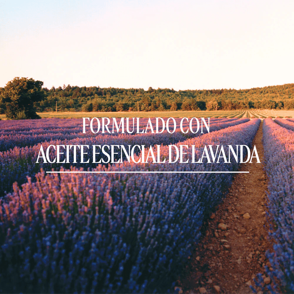 Jabón Extra Suave Karité Lavanda Normal BLOC40549 