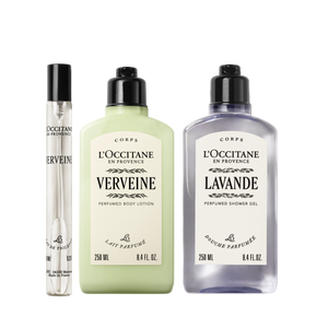 Kit Verbena Lavanda