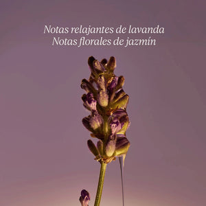 Recarga Jabón Líquido de Manos y Cuerpo Lavanda Refill BLOC40512 