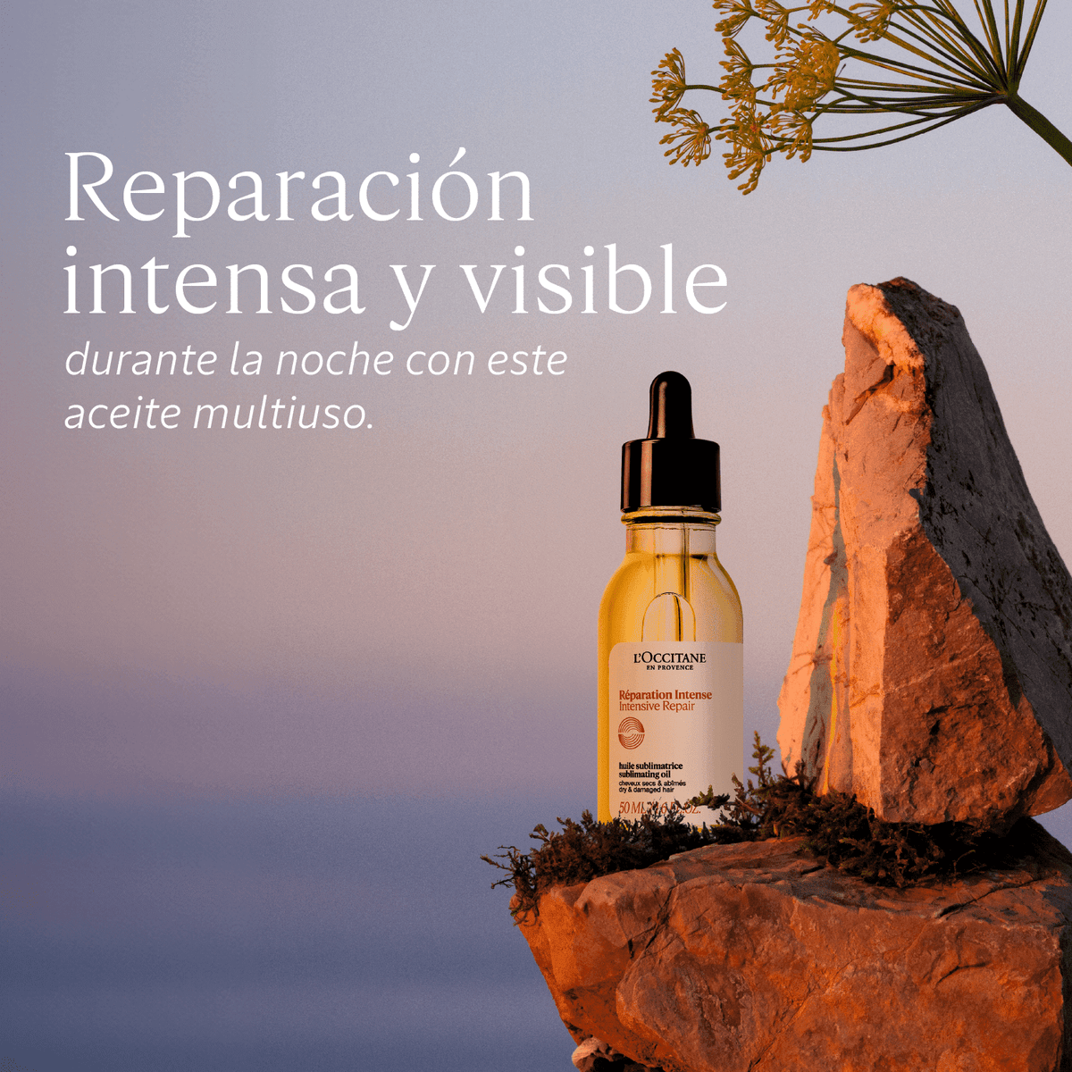 Colección Reparación Intensiva | L´Occitane Panamá – L'Occitane Panama