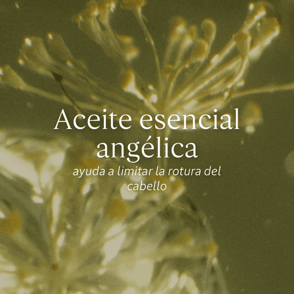 Aceite Sublimador Reparación Intensiva Normal BLOC03693 